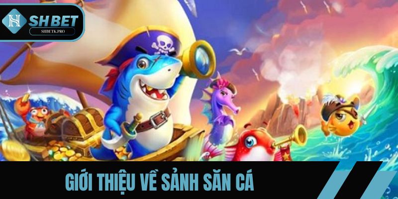 Giới thiệu một cách ngắn gọn về sảnh săn cá