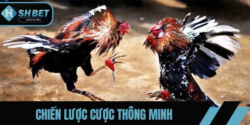 Chiến lược thông minh giúp kiểm soát trận đấu và chiến thắng