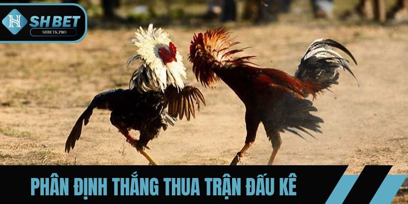 Phân định thắng thua trận đấu kê