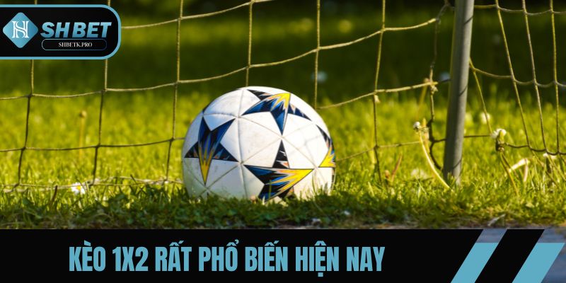 Kèo 1X2 rất phổ biến hiện nay