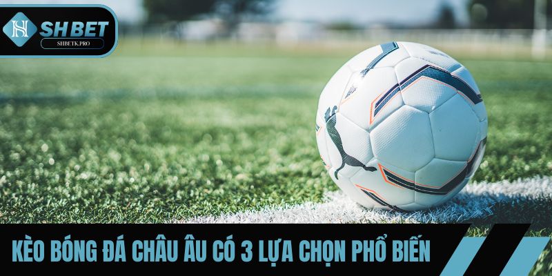 Kèo Bóng Đá Châu Âu có 3 lựa chọn phổ biến