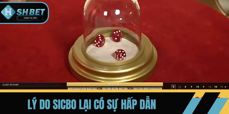 Chơi Sicbo trực tuyến rất hấp dẫn