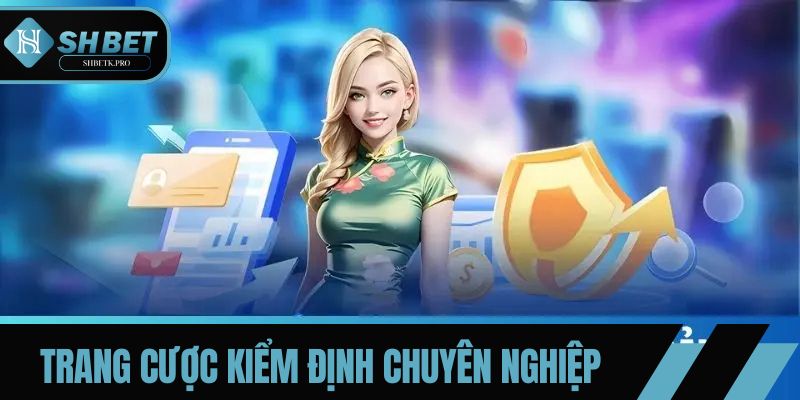 Hệ thống trang cược được kiểm định chuyên nghiệp