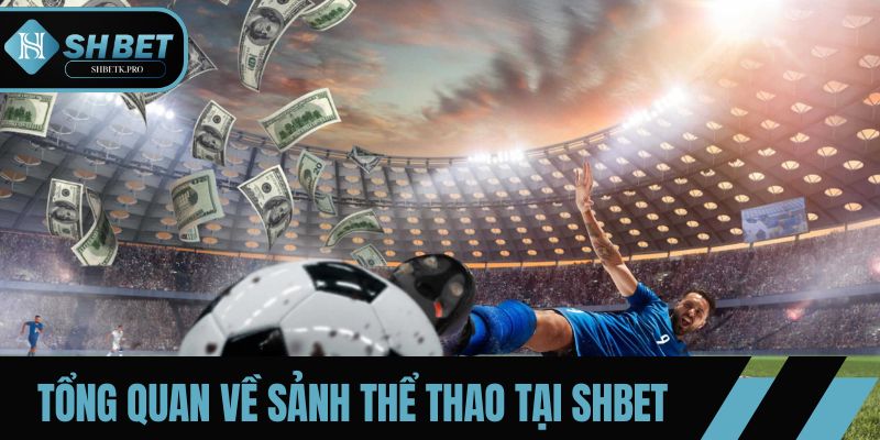 Tổng quan về sảnh thể thao SHBET